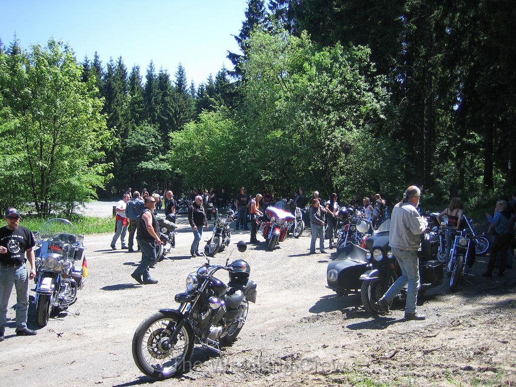Schluter 038 (3).JPG